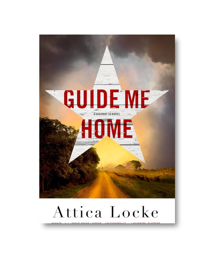 Guide Me Home (A Highway 59 Novel #3)